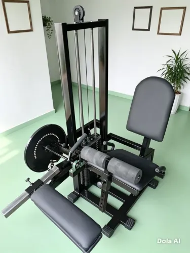 Cadeira flexora extensão sentada