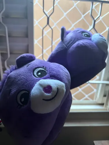 Pantufa ursinhos carinhosos- Cacau show