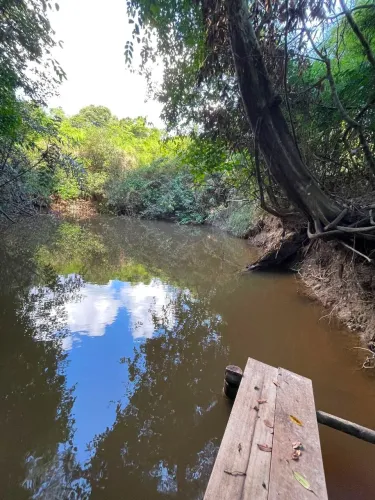 Chácara na Linha 22 na BR 319