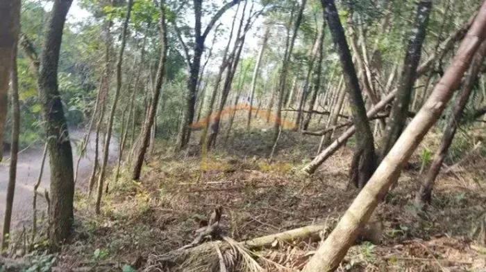TERRENO À VENDA - Mato Dentro. 1.134 m².