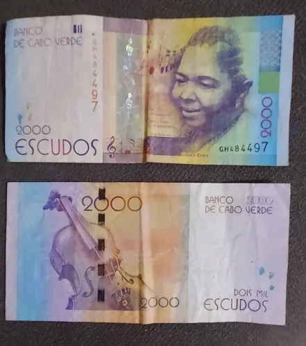 Notas coleção