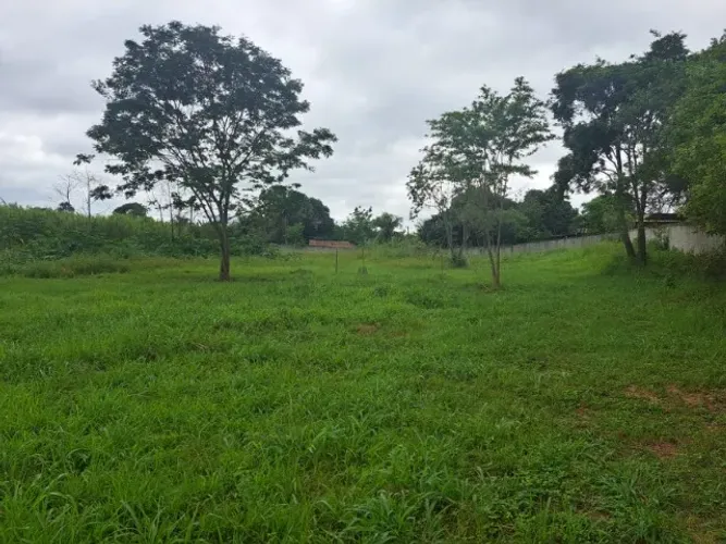 Terreno 5.000mts plano e murado