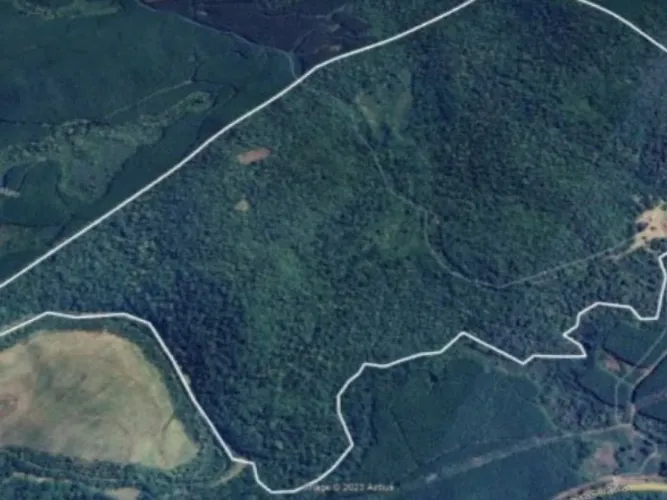 Área Rural com 200 ha - Herciliópolis - Água Doce - SC
