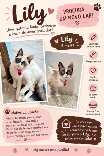 GATA DOAÇÃO
