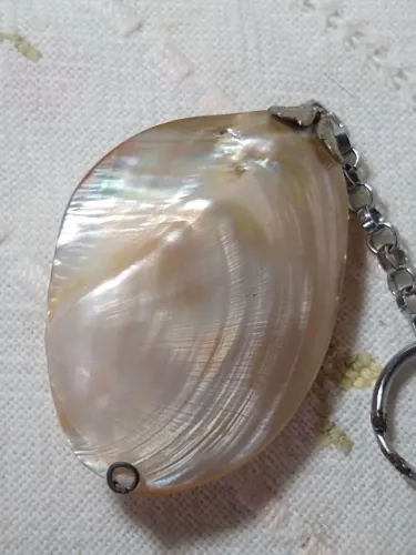 Madrepérola /concha / chaveiro