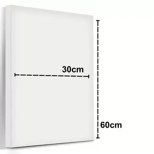 tela para pintura 30x60cm 1085 real