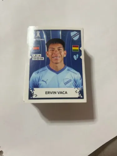 Lote com 200 figurinhas sem repetições da libertadores 2024.