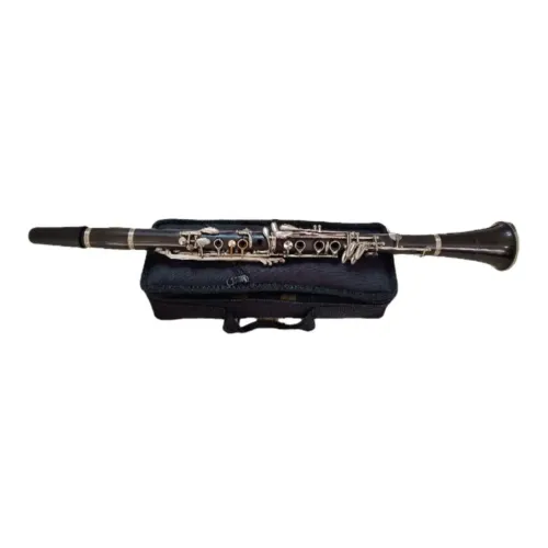 Clarinete Eastman Estudante 17 chaves em Ebonite bonita + bag em nylon