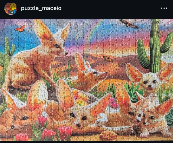 Quebra-cabeça importado Fantastic Fennec Foxes 