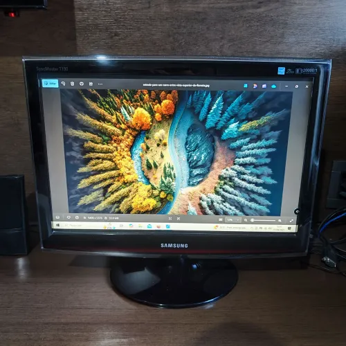 Monitor Samsung Syncmaster 19 polegadas 
