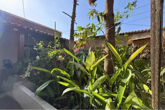 Casas à venda no Bairro Suzana em Belo Horizonte
