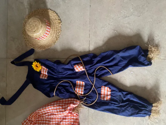 Roupa espantalho infantil