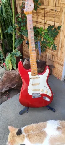 Vendo fender brasileira primeira edição