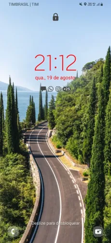 Motorista particular