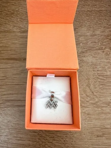 Pingente Life Signo Aquário em Prata 925 com Pedras Incolores