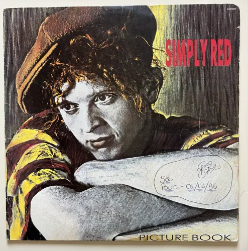 Disco Vinil Simple Red Picture Book Usado
