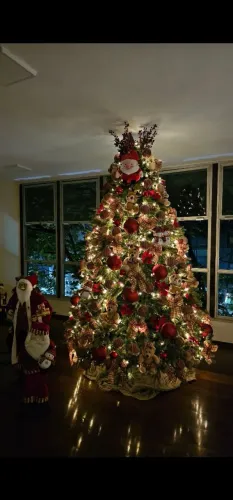 Árvore de natal 