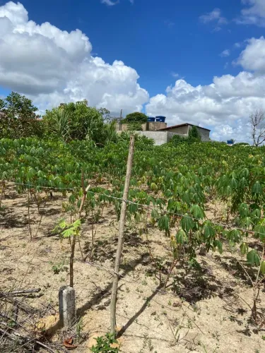 Terreno em itaporanga ( para vender logo)