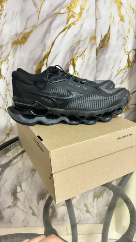 Mizuno prophecy 15 