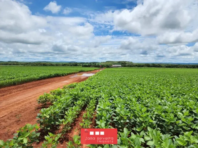 Fazenda para Venda em Água Boa