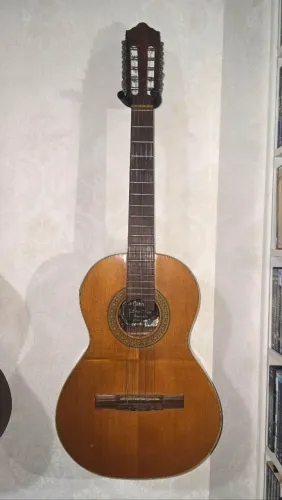 Viola de 10 cordas Giannini 