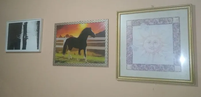 Quadros tudo por 200,