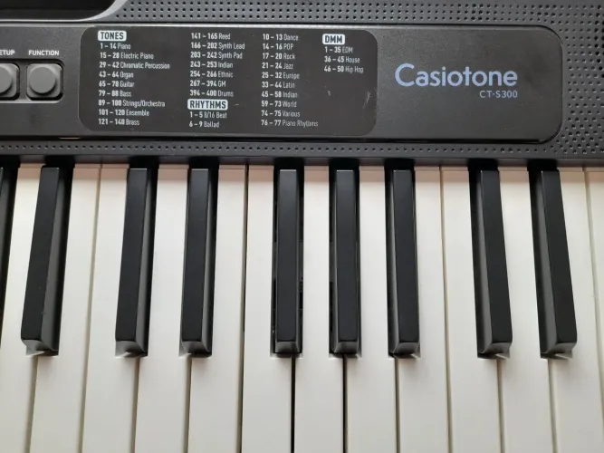 Teclado casio ct-s300