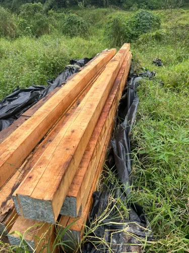 Pilares eucalipto rosa 15x15 5,5m comprimento