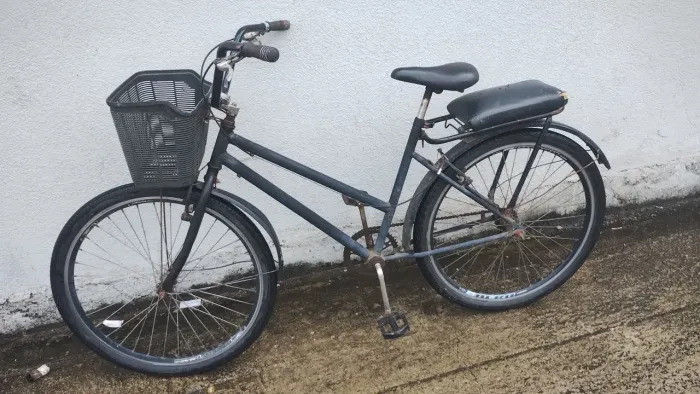 Bicicleta poti