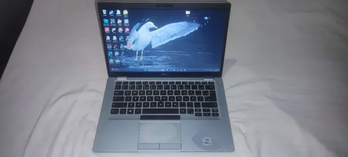 Notebook Dell Latitude 5410 (Usado)