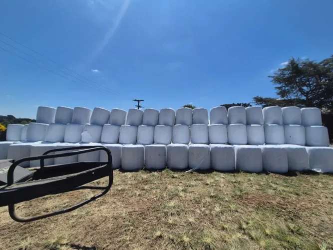 Bolas de pre-secado de aveia (feno) 