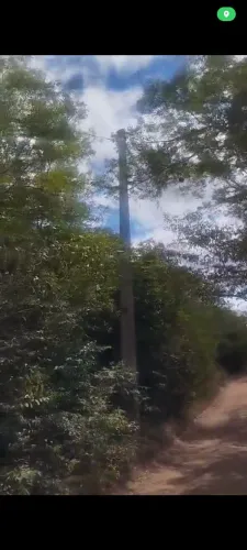 Vendo ou troco um terreno medindo uma tarefa