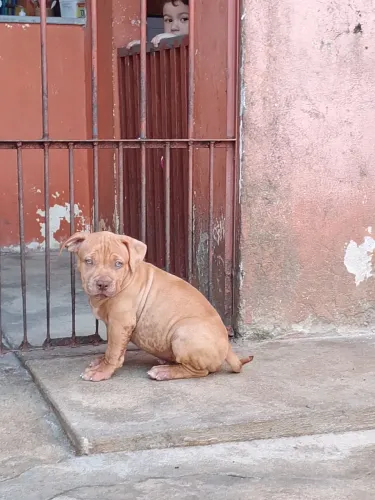 Machinho disponível