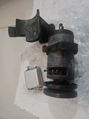 Dinamo fusca
