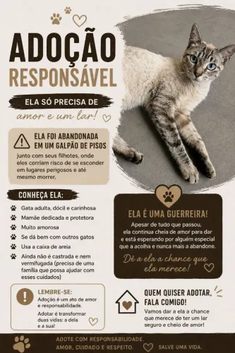 Gatinha para adoção 
