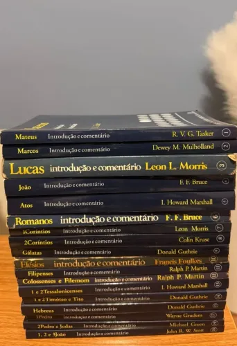 Coleção Comentários Bíblicos - Série Cultura Bíblica Novo Testamento (teologia)