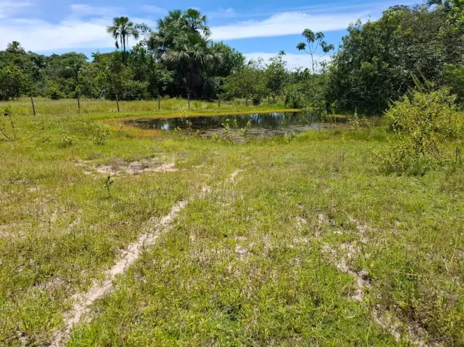 Imóvel para venda com 2196760 metros quadrados com 3 quartos em Zona Rural - Faina - GO