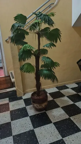 Vaso decorativo