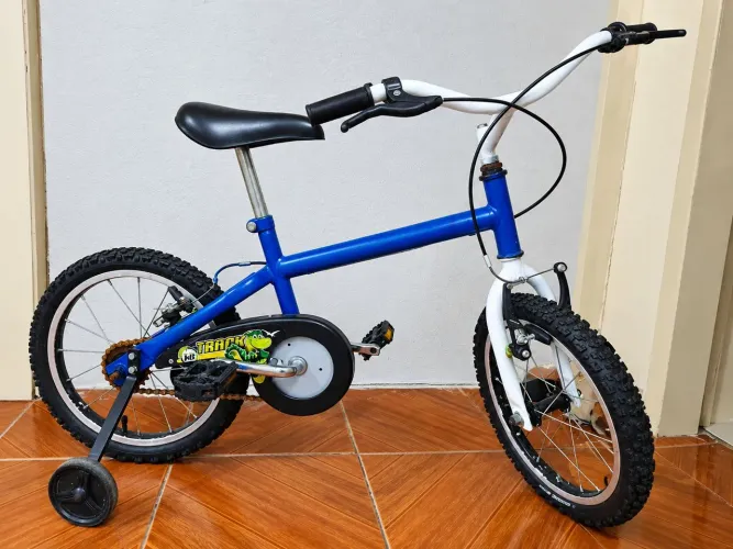 Bicicleta infantil 