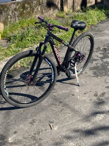 Bicicleta aro 29 absolute