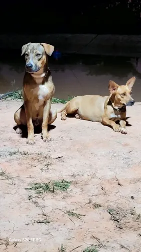 Doação 
