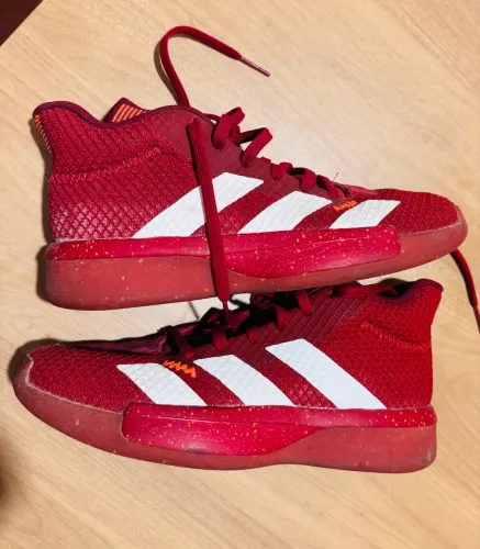 Adidas Pro Next 2019