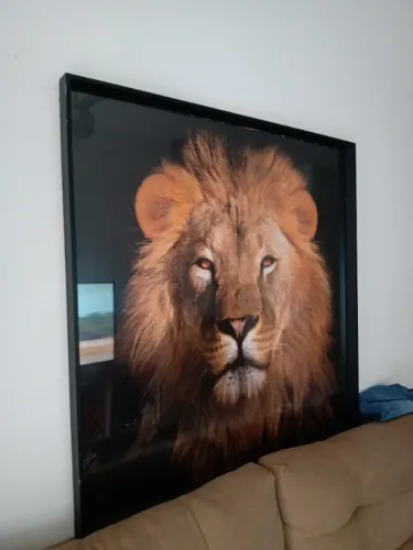Quadro Leão (Grande)