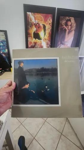 DISCOS VINIL LP POP ROCK