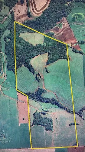 Terreno à Venda em Assaí/PR - 45 Alqueires | 27 Alqueires Plantando