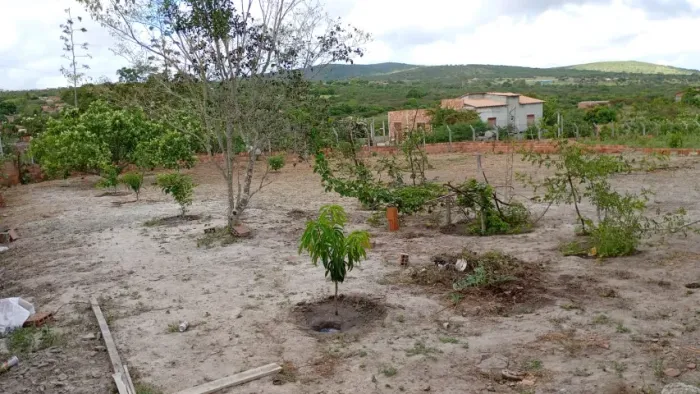 Vende se um sítio localizado em serrinha Bahia. 