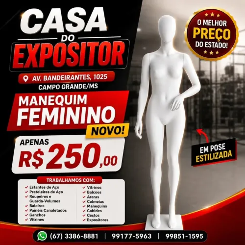 Manequim Feminino Branco Novo 03 Braços R$250,00