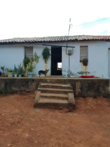 Terrenos 
