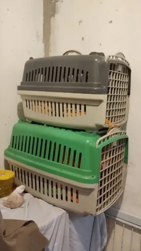 Vendo caixa de transporte