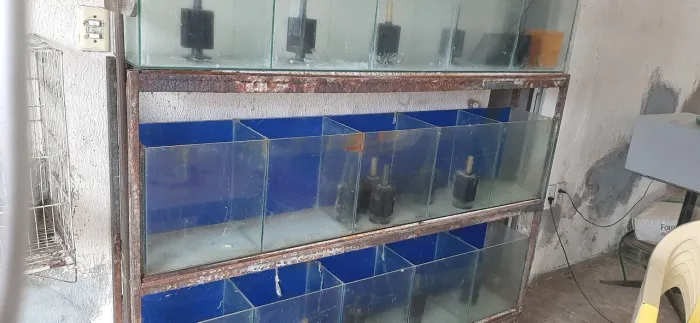 Vendo aquários expositor para pet shop  com motor e filtros 1200 reais